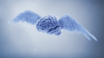 ... medical â  cool backgrounds for; brain anatomy medical head skull digital 3d xray xray psychedelic ... HD wallpaper